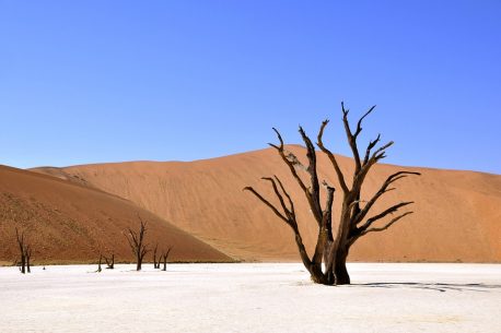 Viaggi in Namibia