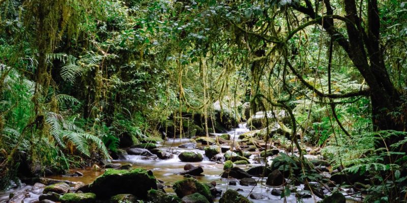 Viaggio in Madagascar