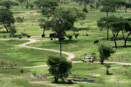 safari di gruppo in tanzania