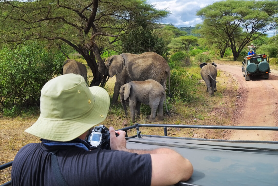 Tanzania safari di gruppo